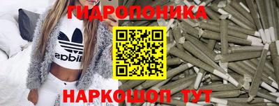 стафф Новодвинск