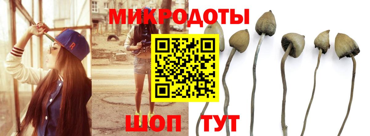 Псилоцибиновые грибы мицелий  Вход с VPN  Тавда  магазин    Галлюциногенные грибы Psilocybine cubensis 